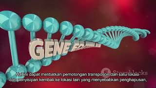 Mutagenesis Transposon [upl. by Sotnas]