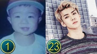 Oh Sehun Predebut  Transformation from 1 to 23 Years Old [upl. by Dnomra109]