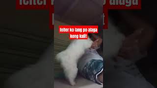 Felter lang po alaga kong kulit rose doglover highlights [upl. by Elmina764]