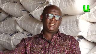 AYEKOO WE HAVE ENOUGH SEEDS FOR 2024 FARMING SEASON  DR FRANCIS KUSI [upl. by Ennahoj]