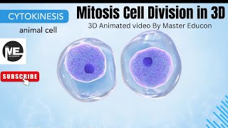 Mitosis Cell Division Explained in 3D  Master Educon  Cell Biology 3D Animation [upl. by Nelg678]