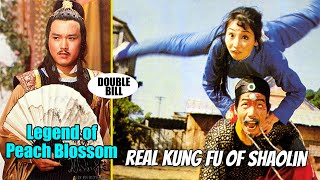 Wu Tang Collection  Real Kung Fu of Shaolin  Legend of Peach Blossom [upl. by Nyleaj]