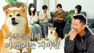 미친텐션 가족 사이에 낀 강형욱 안고독한 훈련사 EP4 [upl. by Mungovan491]