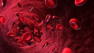 Erythrocyte sedimentation rate ESR physiologyerythrocyte sedimentation rate physiology [upl. by Cirtap905]