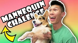 CORGI DOG NAILS MANNEQUIN CHALLENGE  Life After College Ep 519 [upl. by Talbert173]