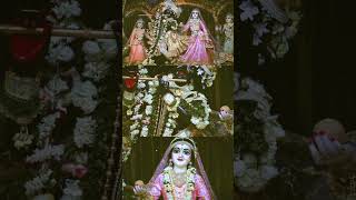 রাধা কৃষ্ণা প্রেম কাহিনী ❤️🙏amijetomar3 radhakrishna love youtubeshorts viralvideo [upl. by Peri885]