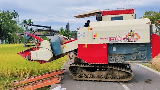 Amazing Combine Harvester Machine On Process and Harvesting Rice Agricultural Product  24 [upl. by Elmore]