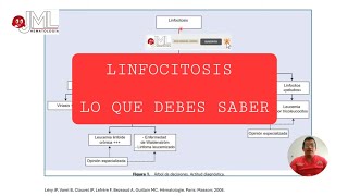 LINFOCITOSIS DIAGNÓSTICO DIFERENCIAL PARTE 1 [upl. by Aiela341]