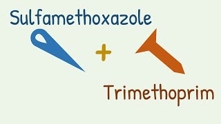 Sulfamethoxazole  Trimethoprim  Cotrimoxazole [upl. by Saloma]