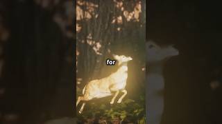 Wild Deer Secrets Youve Never Heard Before shorts deer wildanimals [upl. by Patty]