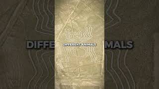 The Mystery of the Nazca Lines [upl. by Atwahs]