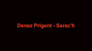 Denez Prigent  SaracH HD [upl. by Hortensia312]