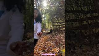 Autumn 🍂 View At Oglebay in Wheeling WV autumn wv shortvideo [upl. by Gerri]