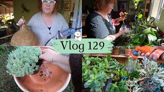 VLOG 129🌿 BRICOLAGE et ARROSAGE  Mon fils mapprend à couper la calebasse pour en faire une lampe😉 [upl. by Atinehs971]