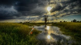 Natuurdocumentaire Oostvaardersplassen Nieuw Land Nieuwe Toekomst [upl. by Ekul]