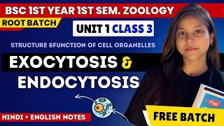 Exocytosis amp Endocytosis BSc 1st year 1st semester unit 1 in Hindi amp English🔥💯 [upl. by Lehacim]