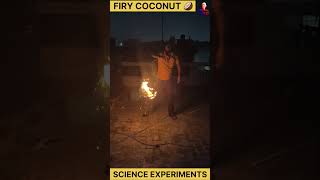 coconut coir is flammable  science experiments experiment science shorts [upl. by Woodsum879]