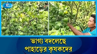 খাগড়াছড়িতে জনপ্রিয় হয়ে উঠেছে সবুজ মাল্টা চাষ  Khagrachari  Rtv News [upl. by Alleiram]