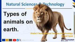 Grade 5 Term 1 Natural Sciences and Technology Animal types [upl. by Rodman]