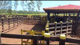 Fazenda a venda no estado do Maranhão [upl. by Hilliard44]