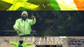 The Fields Athenry  Reggae Version  Vigarous [upl. by Eahsram]