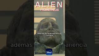 📣 ALIEN ROMULUS se acerca ¡Resumen de Prometheus en mi canal🍿disneyplus alien romulus [upl. by Smiley221]