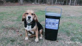 PetFusion Pet Waste Disposal Review [upl. by Ecitnerp]