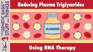 Volanesorsen A novel treatment for high triglyceride levels [upl. by Assilla]