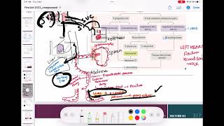 Congestive Heart Failure cardiology 107  First Aid USMLE Step 1 in UrduHindi [upl. by Eerpud]