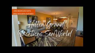 1 bedroom suite Hilton Grand Vacations SeaWorld [upl. by Aneis950]