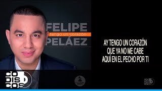 Tengo Un Corazón Felipe Peláez amp Manuel Julian  Vídeo Letra [upl. by Ailecara]