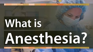 What is Anesthesia  Types of Anesthesia And How does it Work  Education Terminology [upl. by Turk]