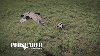 The Persuader by Clone Decoys [upl. by Riana]