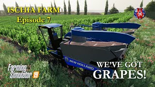 ISCHIA FARM EPISODE 7  WEVE GOT GRAPES  Farming Simulator 19 Lets Play FS19 [upl. by Moon]