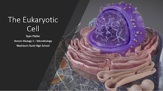 The Eukaryotic Cell [upl. by Kathie879]