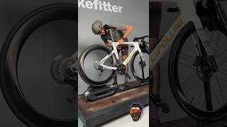 Campagnolo Bora Ultra WTO Cipollini AD ONE Freehub sound check roadbike cycling [upl. by Yevad]