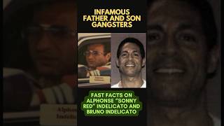 “SONNY RED” AND BRUNO INDELICATO  FATHER AND SON MOBSTERS bonannocrimefamily dominickcicale mob [upl. by Munroe181]