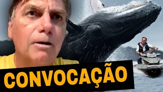 Bolsonaro convoca o povo para ir a seu depoimento sobre importunação a baleia [upl. by Notsua520]