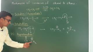 Mechanism of dehydration of alcohol Alcohol phenol and ether  class 12 [upl. by Inimod825]