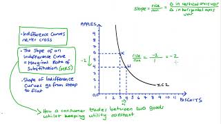 Introduction to Indifference Curves including MRS Why they dont cross  Shape [upl. by Nitsyrc]