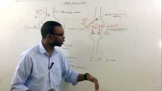 Tricyclic antidepressants TCA Pharmacology [upl. by Rim]