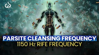 Parasite Frequency Cleanse 1150 Hz Rife Frequency for Parasite Cleansing [upl. by Palmore]