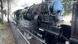 NSWGR 6029 Final Preparations for The Thirlmere Festival of Steam 2024 [upl. by Kieran]