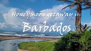 Barbados vlog trailer [upl. by Ybloc]