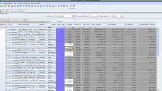 Trinamix DataCenter Template using Oracle Demantra Final 1HD [upl. by Nosyk715]