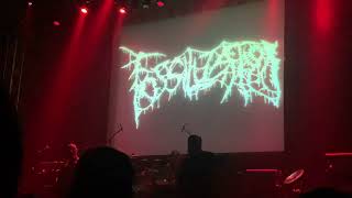 Fossilization live May 23rd 2024 MDF [upl. by Ecnatsnok637]