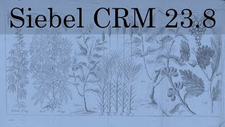 Siebel CRM 238 Update Summary  Squeaky Clean [upl. by Carson]