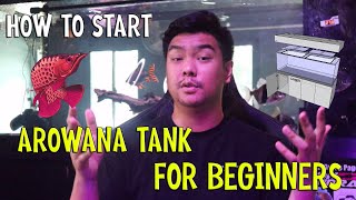 HOW TO START AROWANA TANK  BEGINNERS GUIDE [upl. by Aiyram]