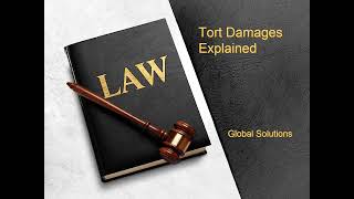 Tort Damages Explained [upl. by Ariday]