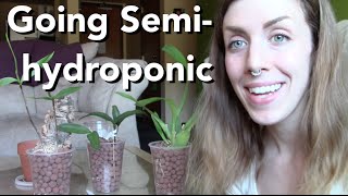 Going SemiHydroponic with Orchids  3 plants demonstrated [upl. by Carmencita]